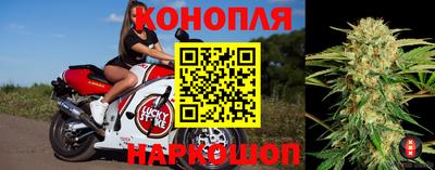 герыч Новокубанск