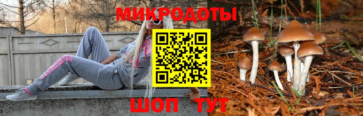 Галлюциногенные грибы мухоморы  Вход с VPN  закладка  Славгород 